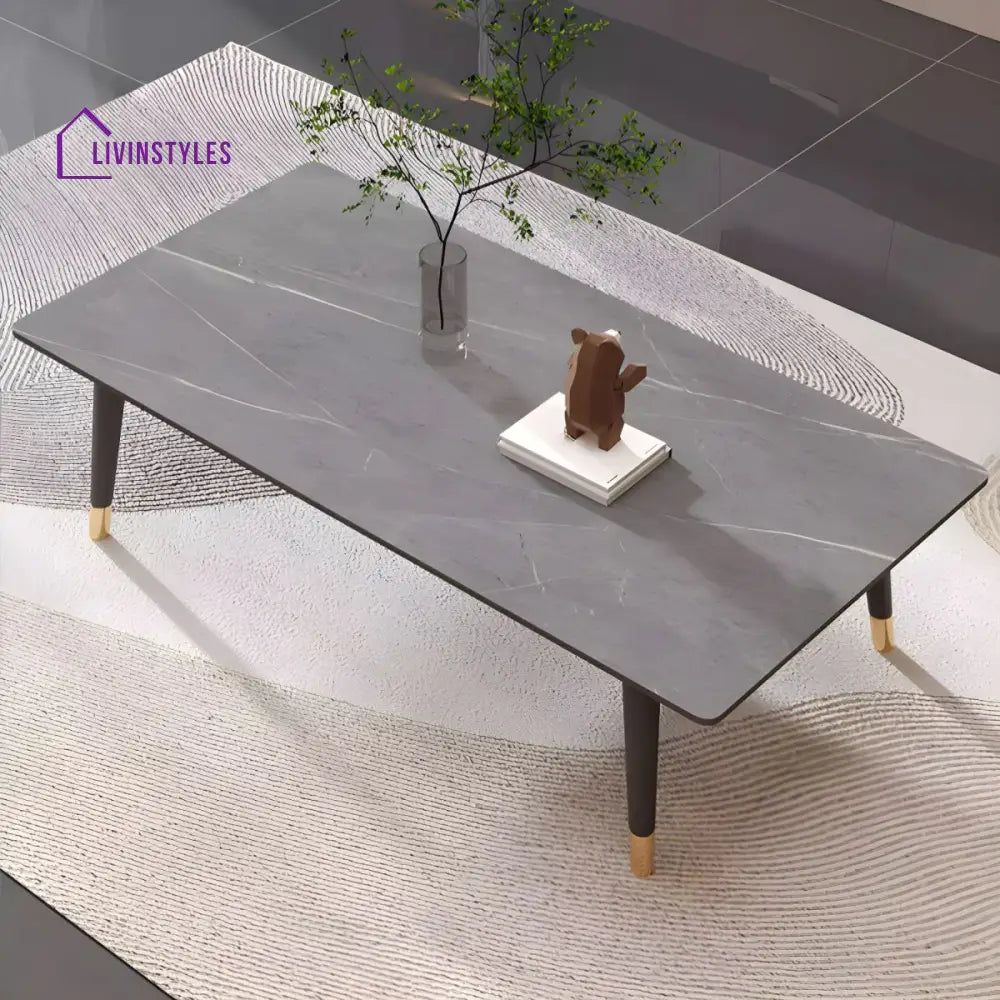 Sanvika Stainless Steel Frame Coffee Table for Living Room