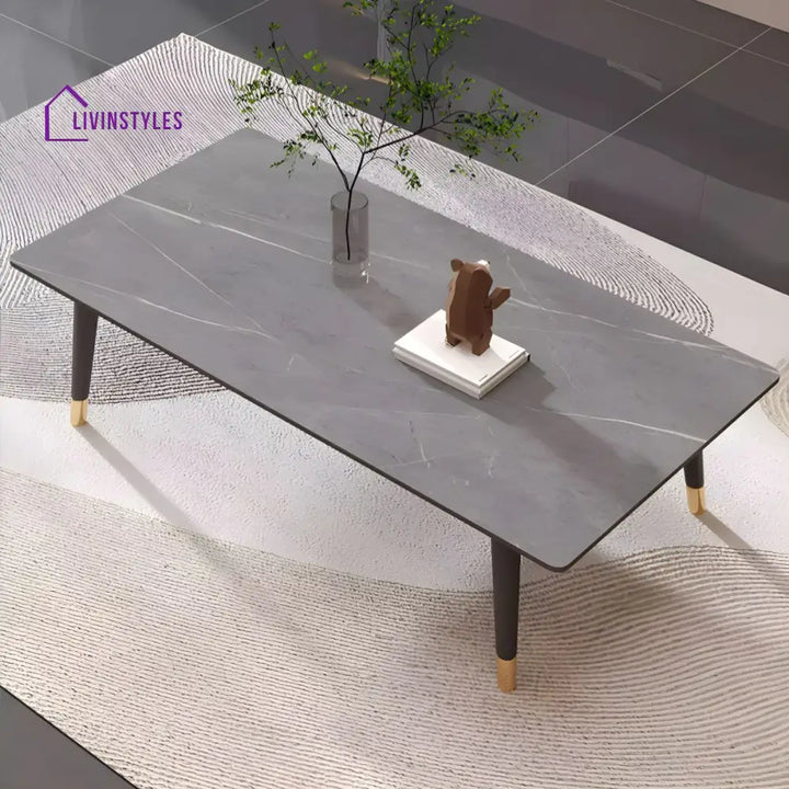 Sanvika Stainless Steel Frame Coffee Table for Living Room