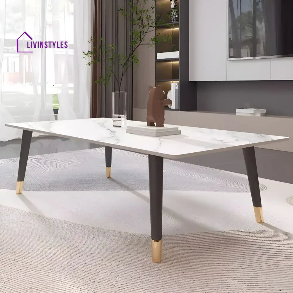 Sanvika Stainless Steel Frame Coffee Table for Living Room