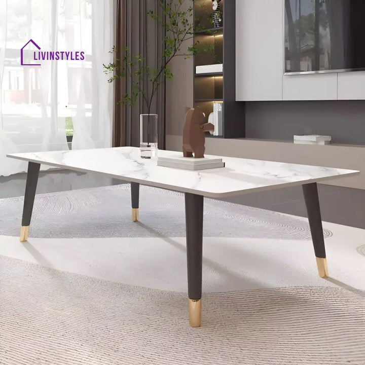 Sanvika Stainless Steel Frame Coffee Table for Living Room