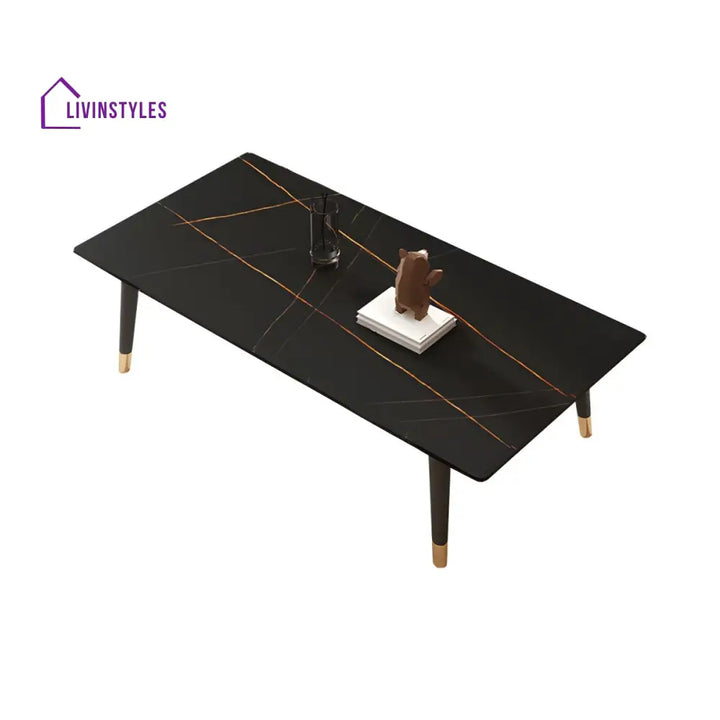 Sanvika Stainless Steel Frame Coffee Table for Living Room