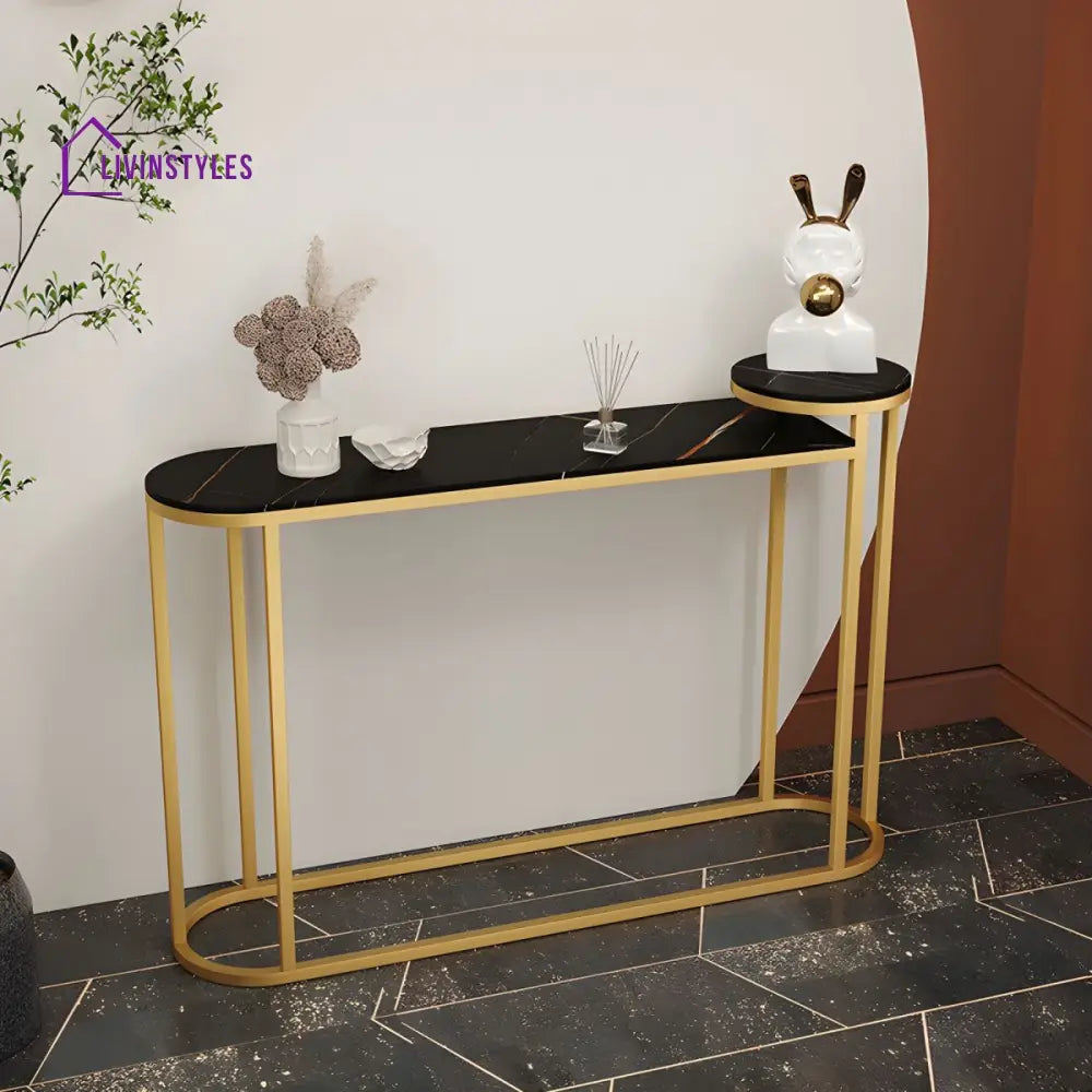 Semyon Stainless Steel Frame Console Table for Living Room