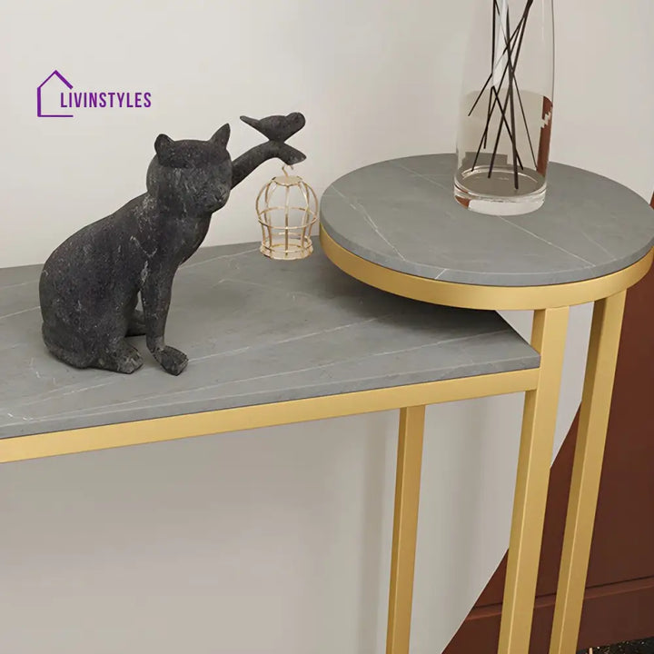 Semyon Stainless Steel Frame Console Table for Living Room