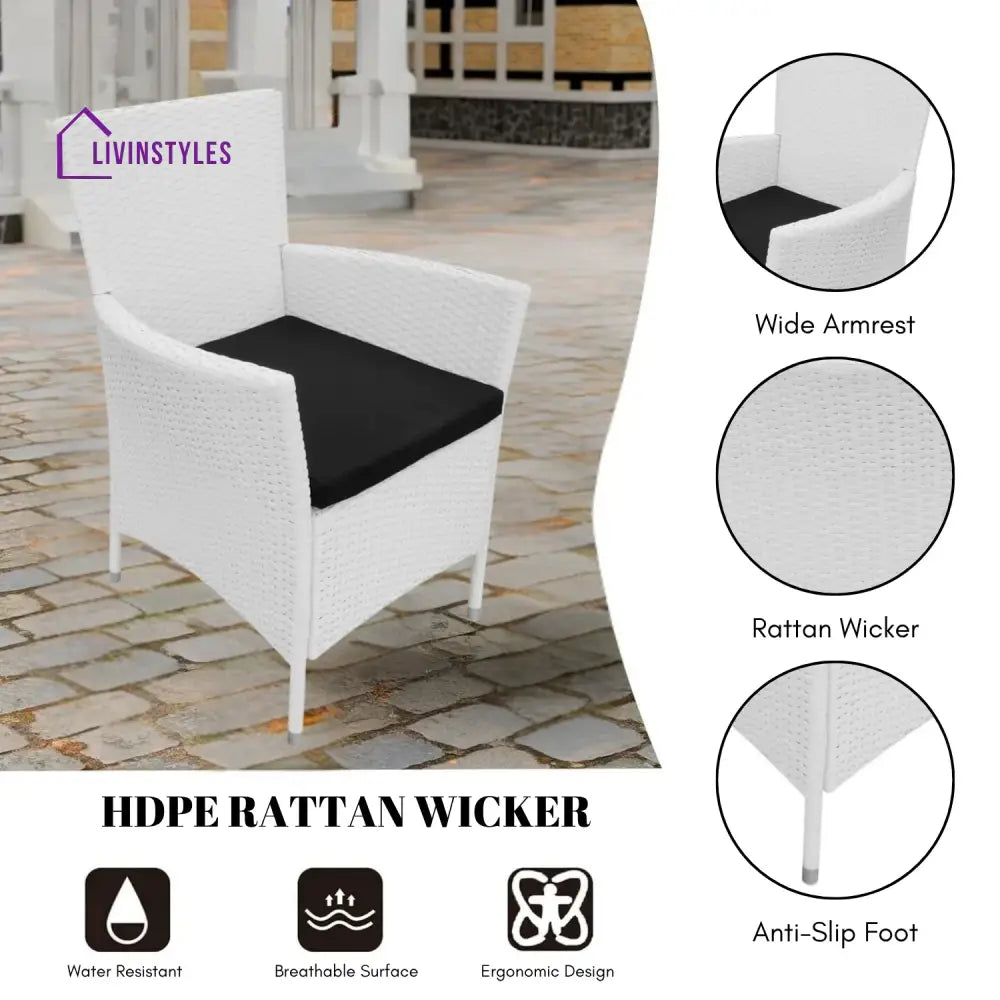 Seraphina 9-Piece Outdoor Rattan Wicker Dinning Table Set - Dining Set