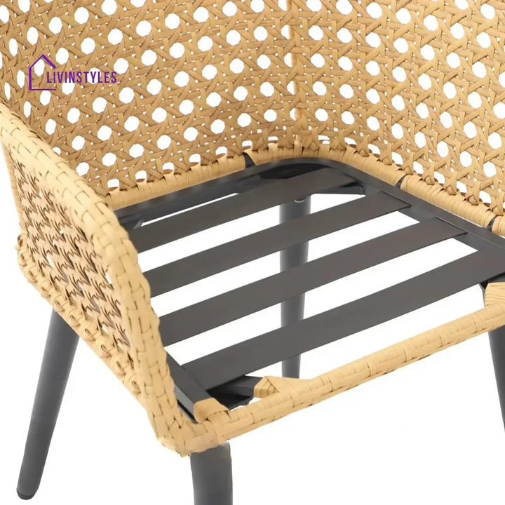 Shreya 2-Piece Outdoor Rattan Wicker Patio Dining Chairs - Dinning Chairs