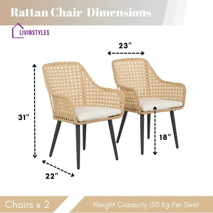 Shreya 2-Piece Outdoor Rattan Wicker Patio Dining Chairs - Dinning Chairs