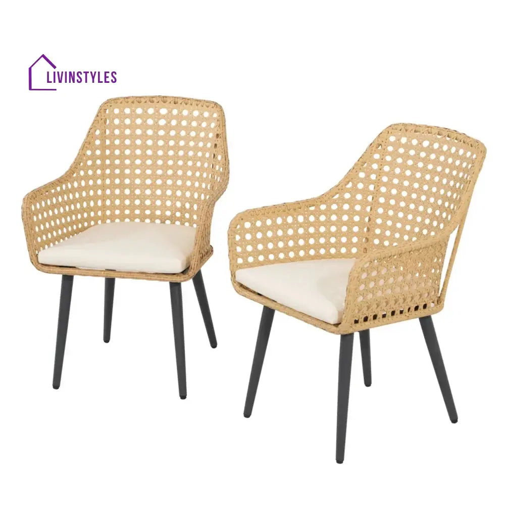 Shreya 2-Piece Outdoor Rattan Wicker Patio Dining Chairs - Dinning Chairs