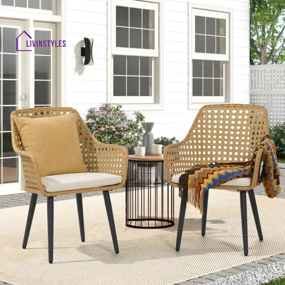 Shreya 2-Piece Outdoor Rattan Wicker Patio Dining Chairs - Dinning Chairs