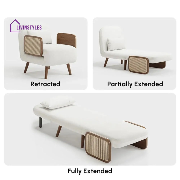 Shristi Solid Wood Sofa Come Bed for Living Room