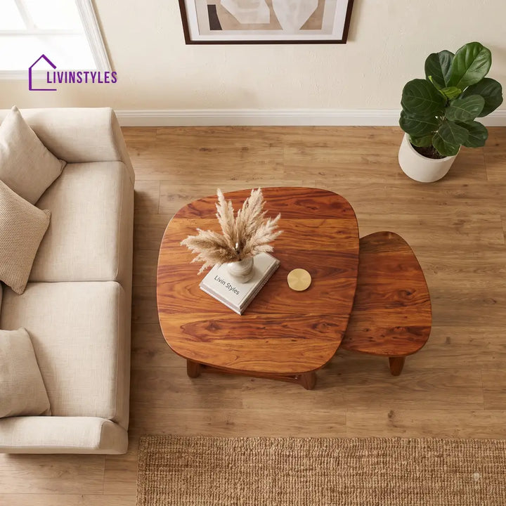 Siya Sheesham Wood Coffee Table Set | Wooden Nesting Tables