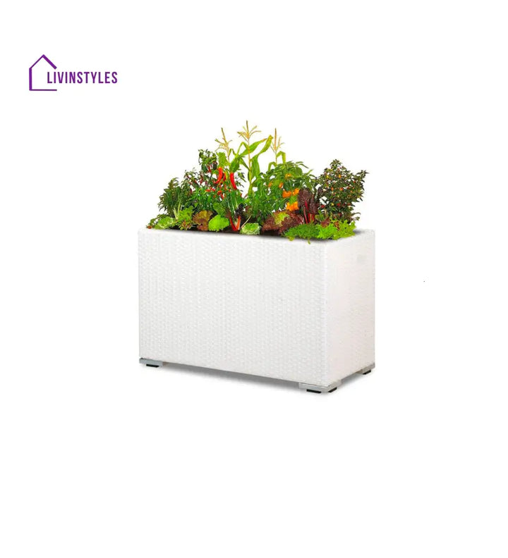 Sylvie Outdoor Wicker Planters For Garden Balcony - Planter