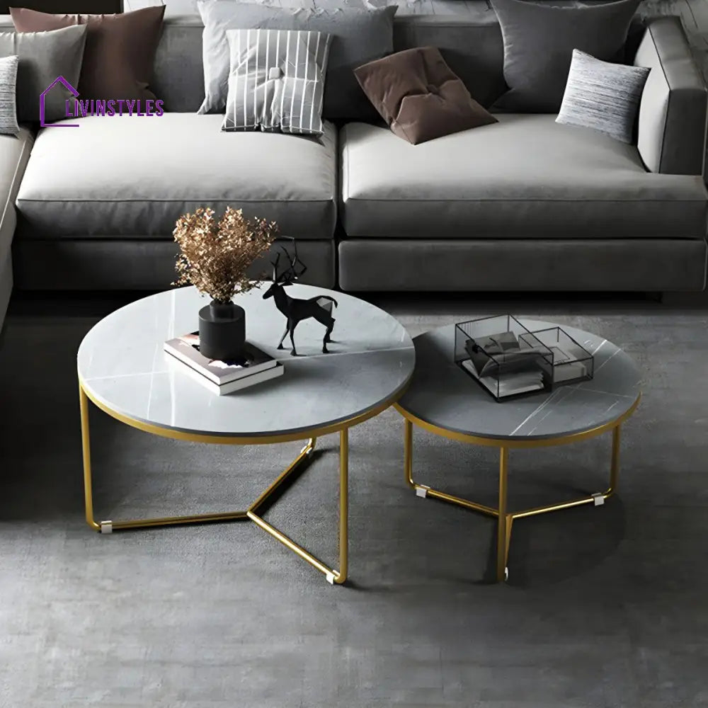 Tanay Stainless Steel Frame Coffee Table for Living Room