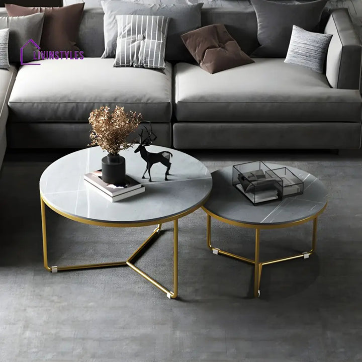 Tanay Stainless Steel Frame Coffee Table for Living Room