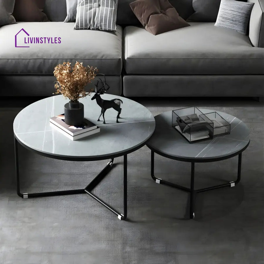 Tanay Stainless Steel Frame Coffee Table for Living Room