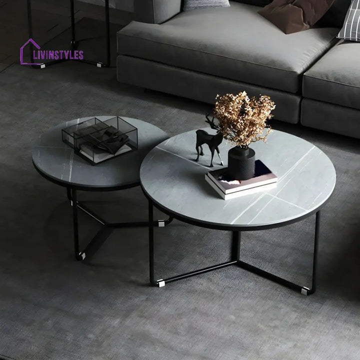 Tanay Stainless Steel Frame Coffee Table for Living Room