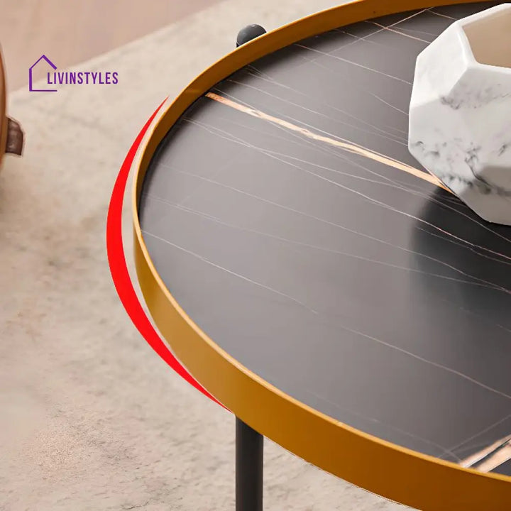 Tanika Stainless Steel Frame Coffee Table for Living Room