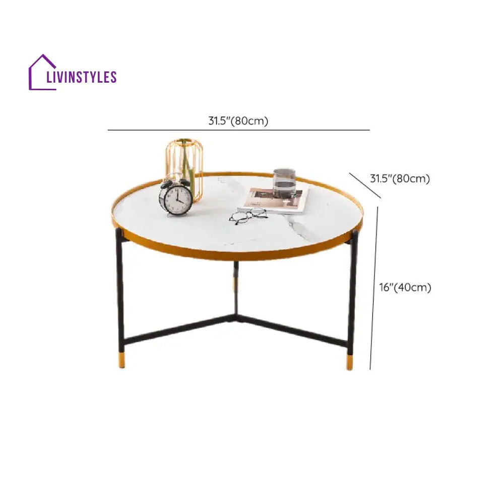 Tanika Stainless Steel Frame Coffee Table for Living Room
