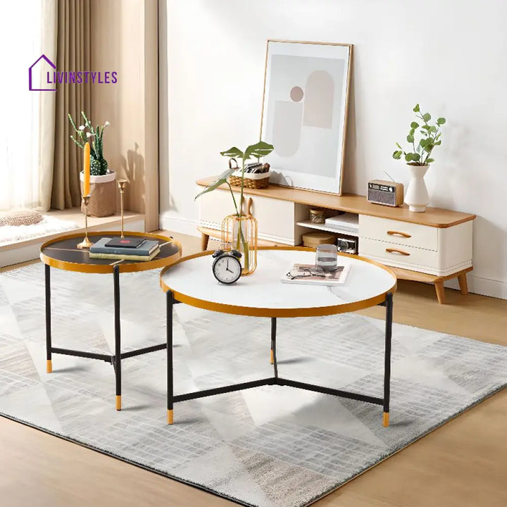 Tanika Stainless Steel Frame Coffee Table for Living Room
