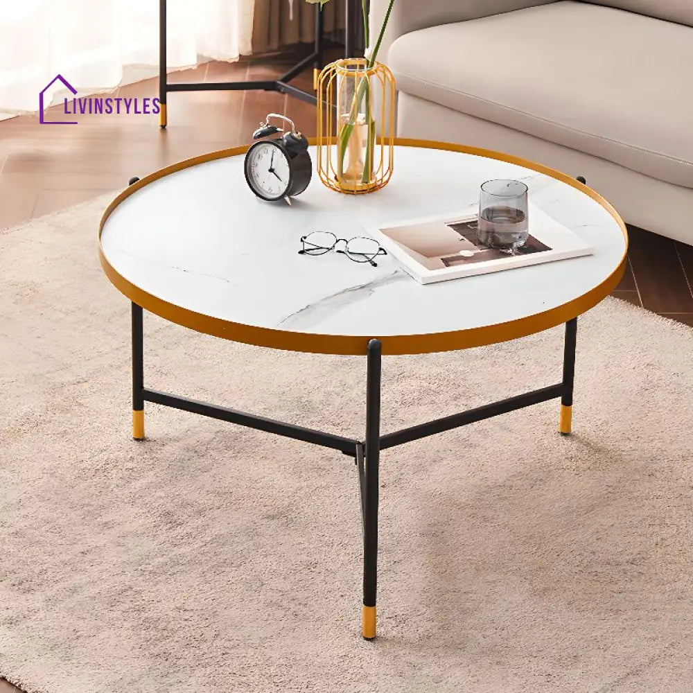 Tanika Stainless Steel Frame Coffee Table for Living Room
