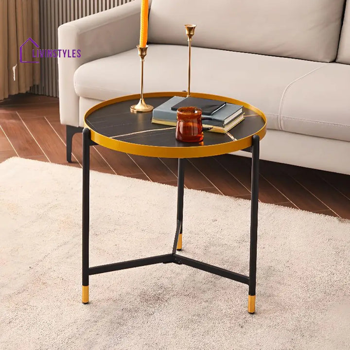 Tanika Stainless Steel Frame Coffee Table for Living Room