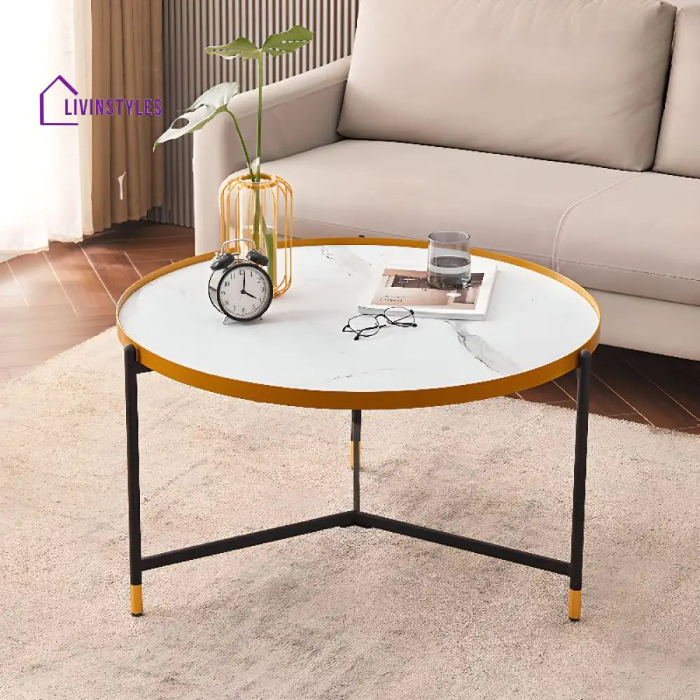 Tanika Stainless Steel Frame Coffee Table for Living Room
