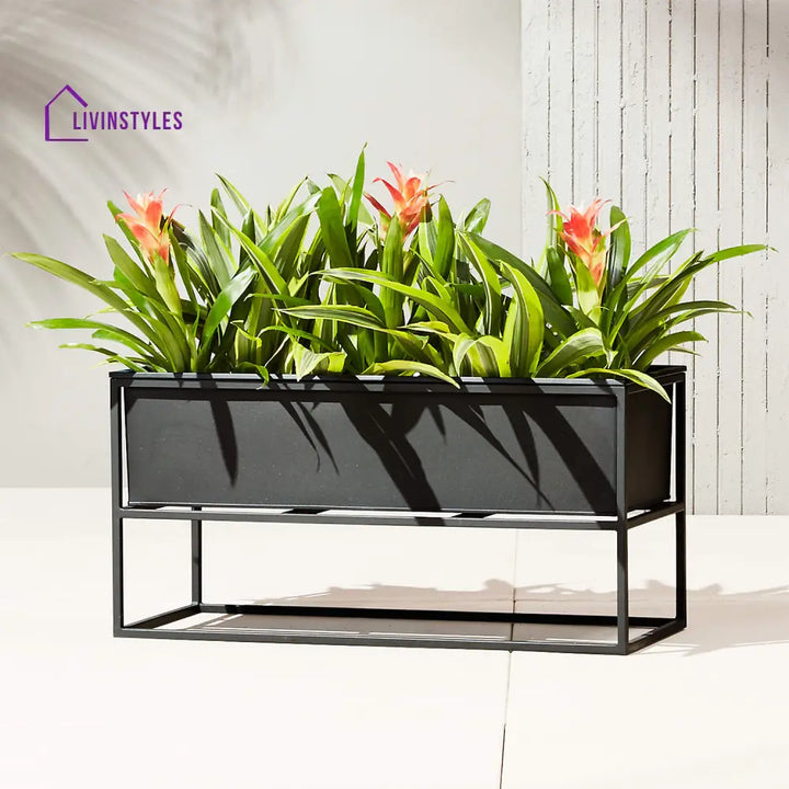 Tasse Outdoor Metal Planter For Garden Balcony (Black) - Planter