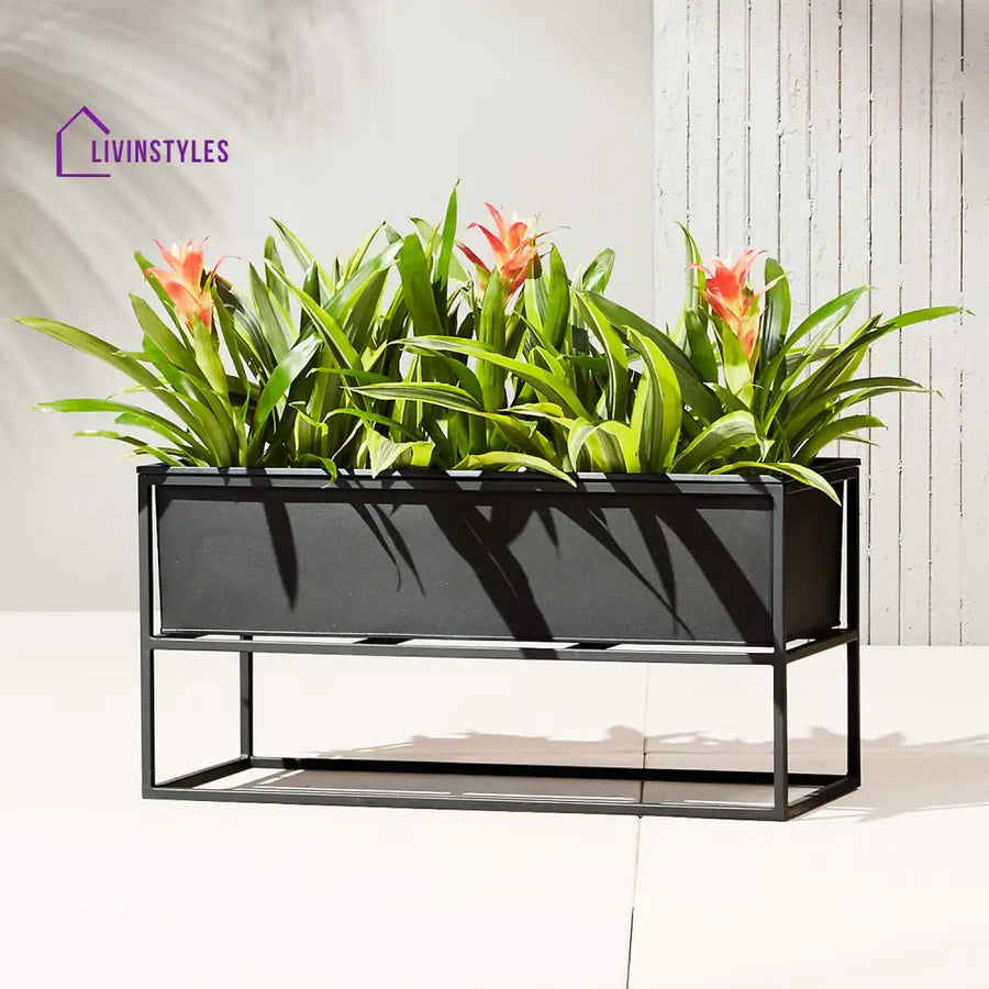 Tasse Outdoor Metal Planter For Garden Balcony (Black) - Planter