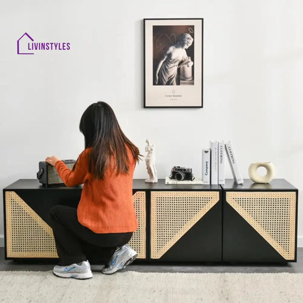 Terra Black Finish Tv Unit Stand for Living Room