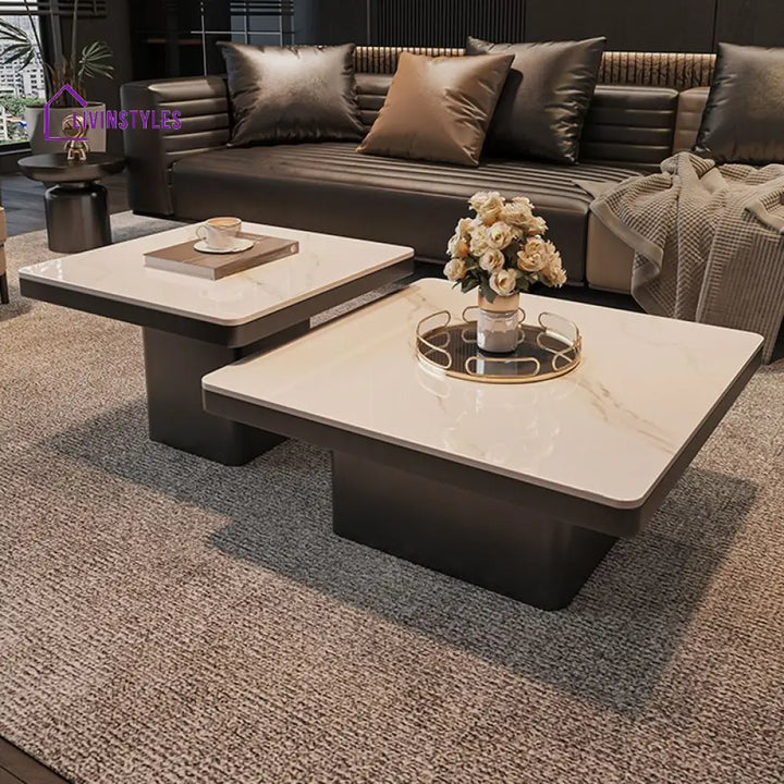 Terra Stainless Steel Coffee Table Set | Square Shaped | Ceramic Composite Marble - Set of 2