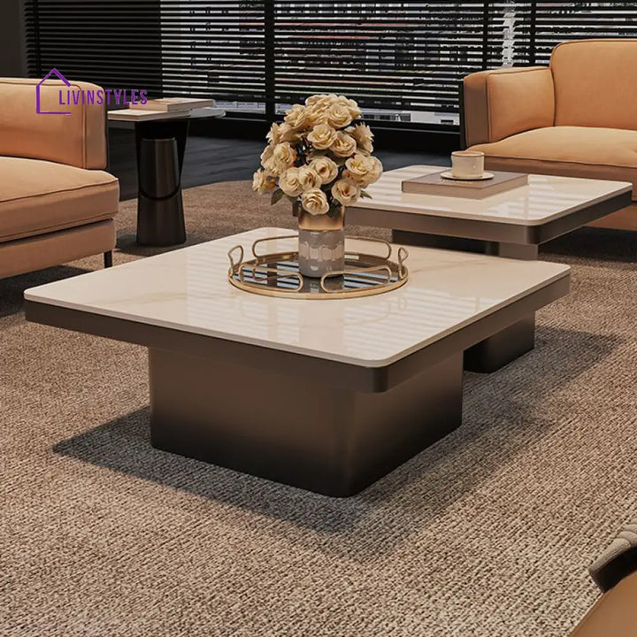 Terra Stainless Steel Coffee Table Set | Square Shaped | Ceramic Composite Marble - Set of 2
