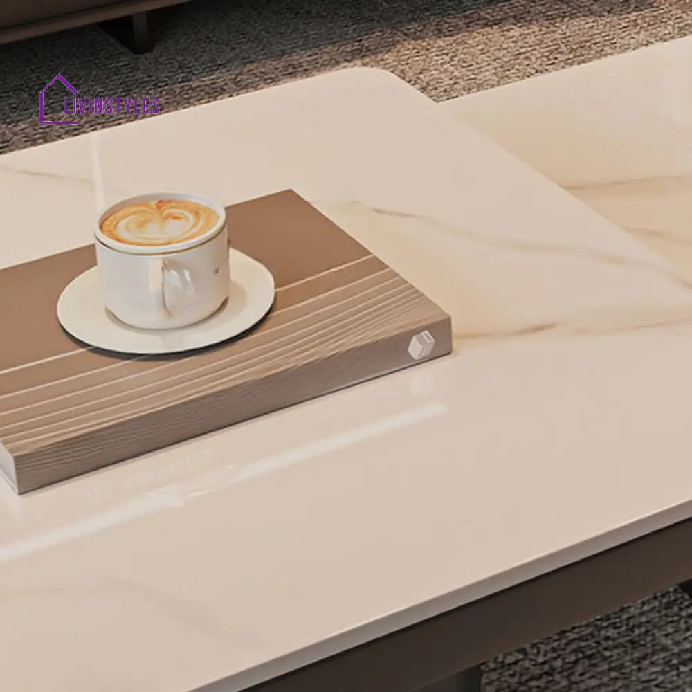 Terra Stainless Steel Coffee Table Set | Square Shaped | Ceramic Composite Marble - Set of 2