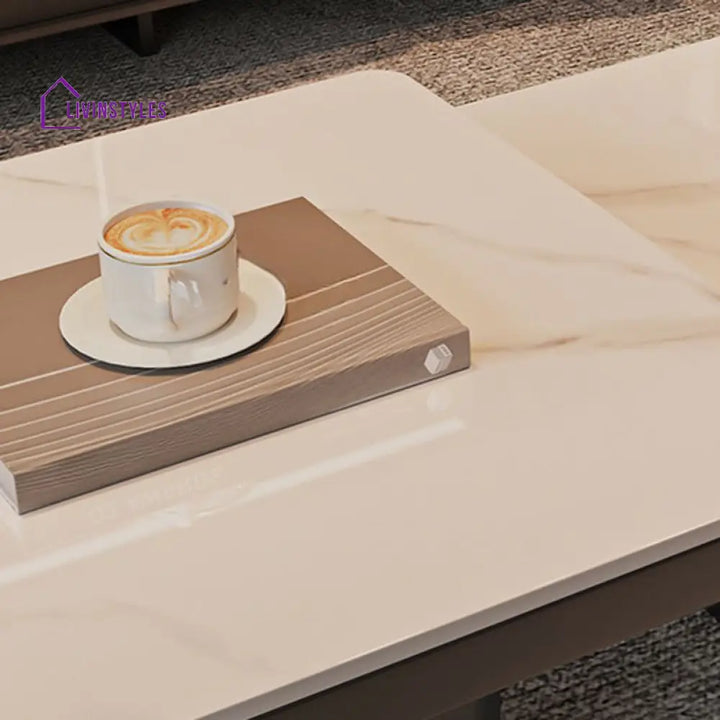 Terra Stainless Steel Coffee Table Set | Square Shaped | Ceramic Composite Marble - Set of 2