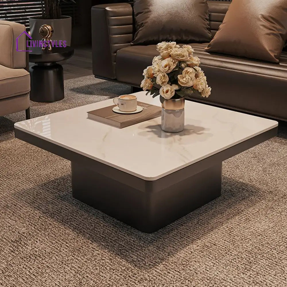 Terra Stainless Steel Coffee Table Set | Square Shaped | Ceramic Composite Marble - Set of 2