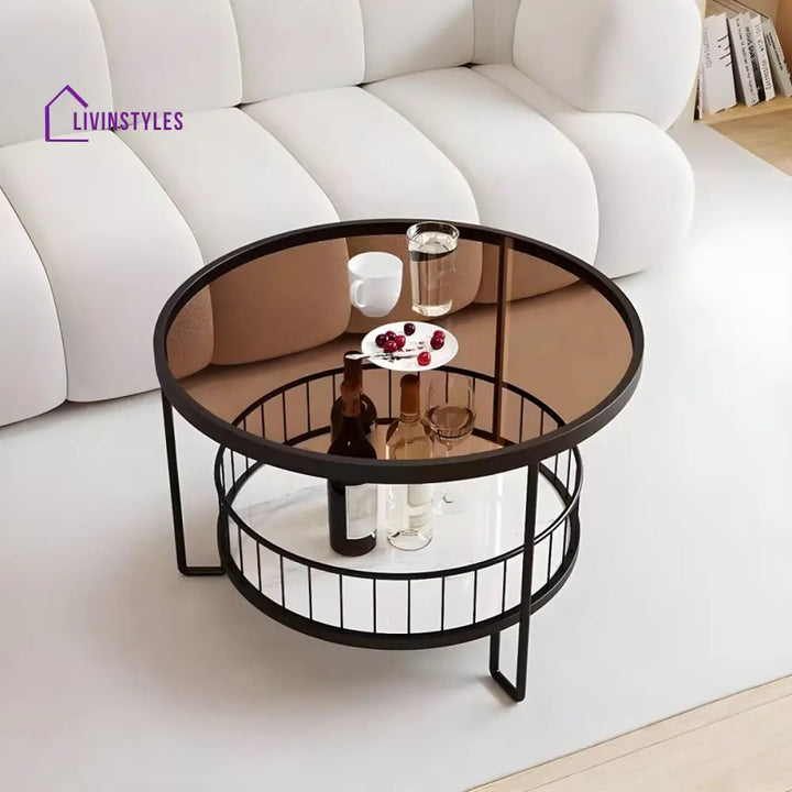 Tisya Stainless Steel Coffee Table for Living Room