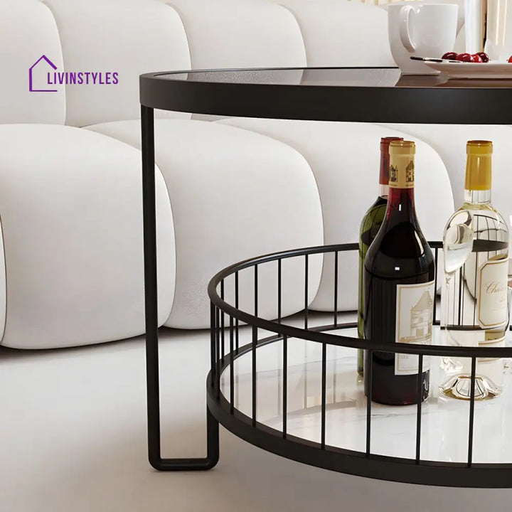 Tisya Stainless Steel Coffee Table for Living Room