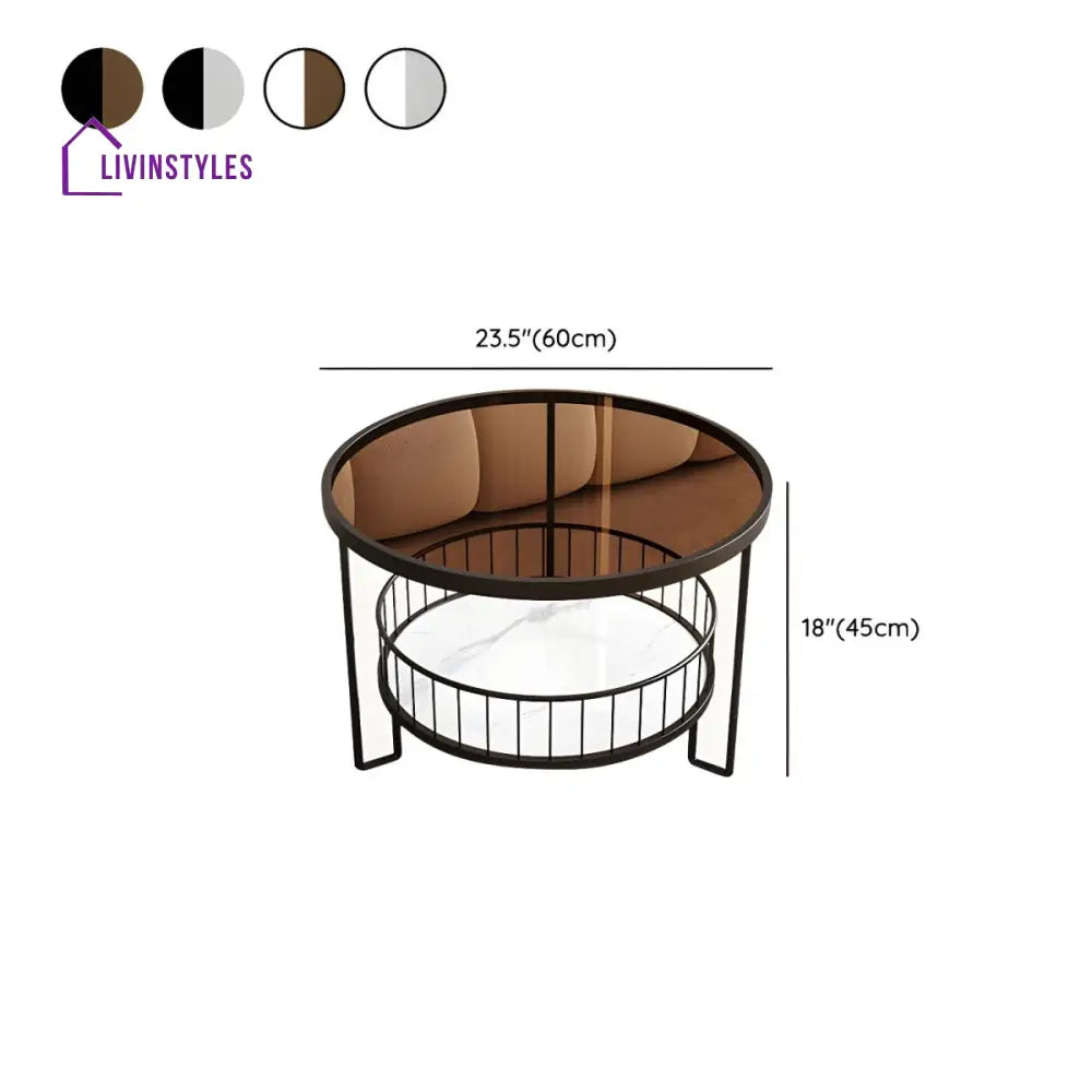Tisya Stainless Steel Coffee Table for Living Room