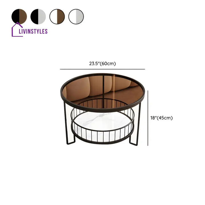 Tisya Stainless Steel Coffee Table for Living Room