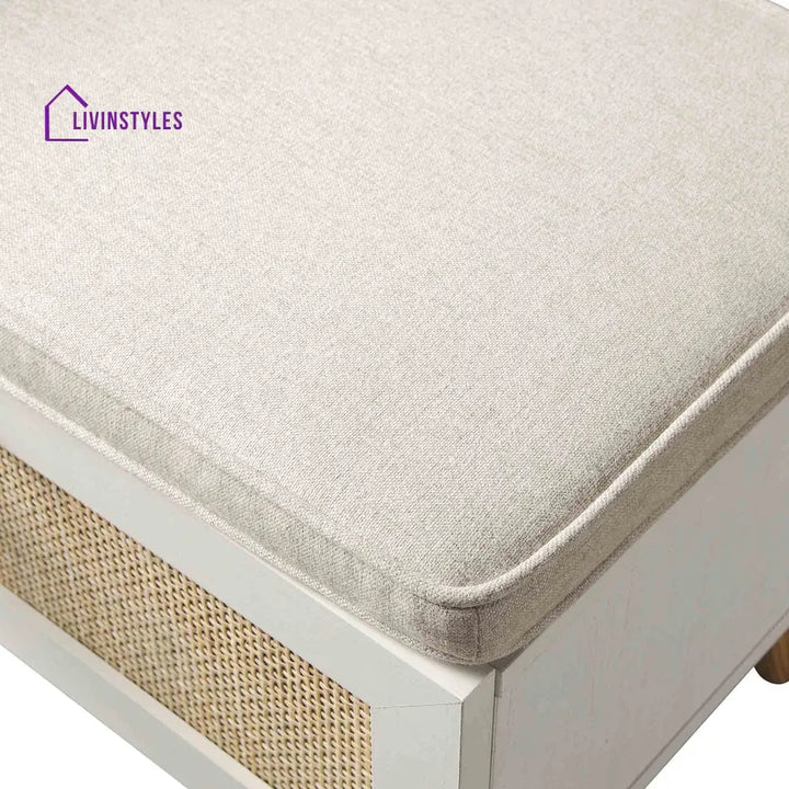 Frances Woven Rattan Storage Bench with Cushion White Cabinets & Chests