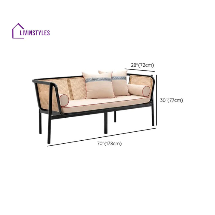 Trishaali Solid Wood 3 Seater Sofa for Living Room