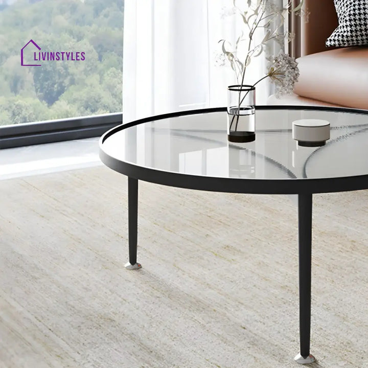 Ujala Stainless Steel Coffee Table for Living Room