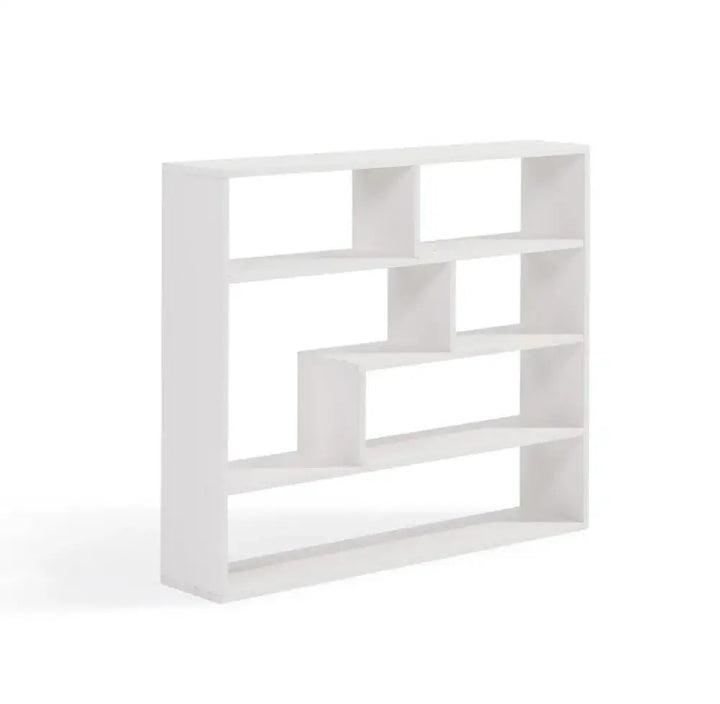 Urvashi Multipurpose Wall Shelf Display Rack Display Shelf