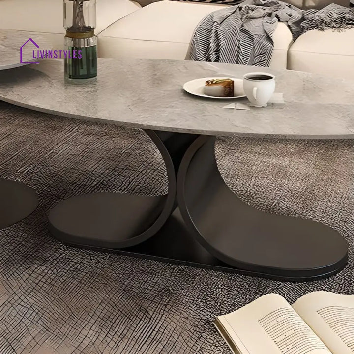 Ushini Stainless Steel Frame Coffee Table for Living Room