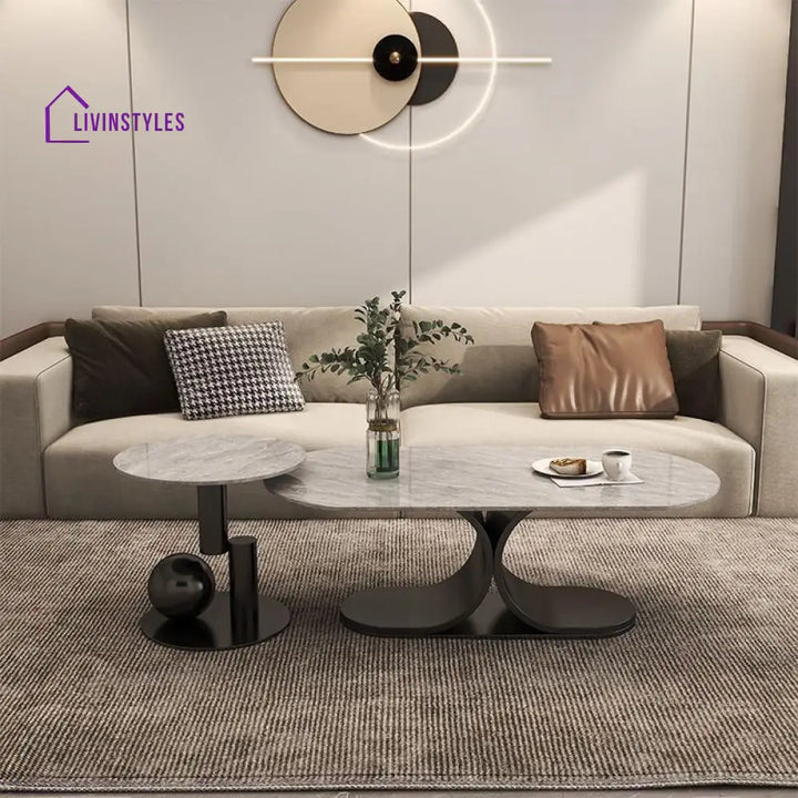 Ushini Stainless Steel Frame Coffee Table for Living Room