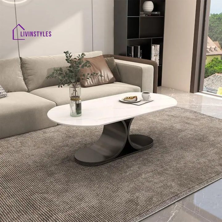 Ushini Stainless Steel Frame Coffee Table for Living Room