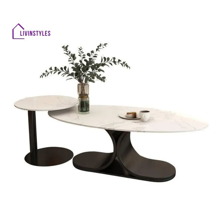 Ushini Stainless Steel Frame Coffee Table for Living Room