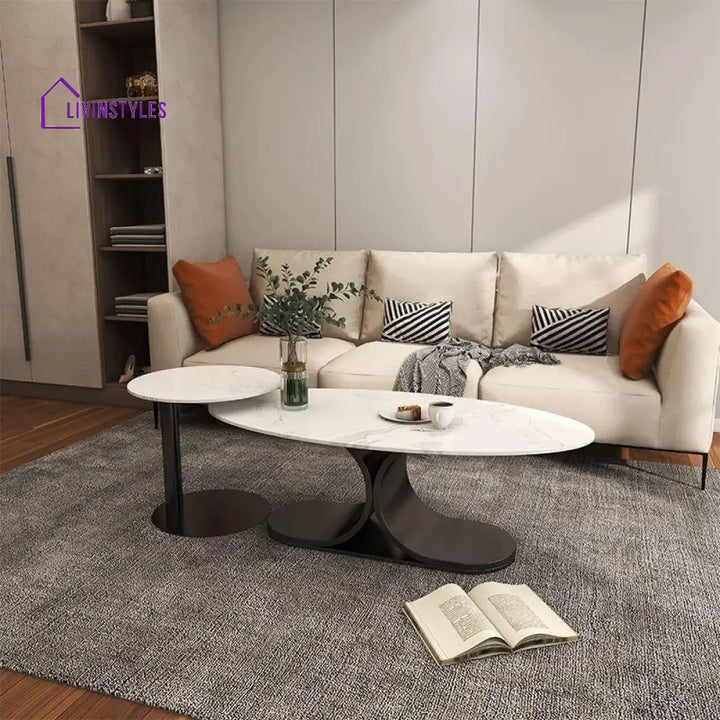 Ushini Stainless Steel Frame Coffee Table for Living Room