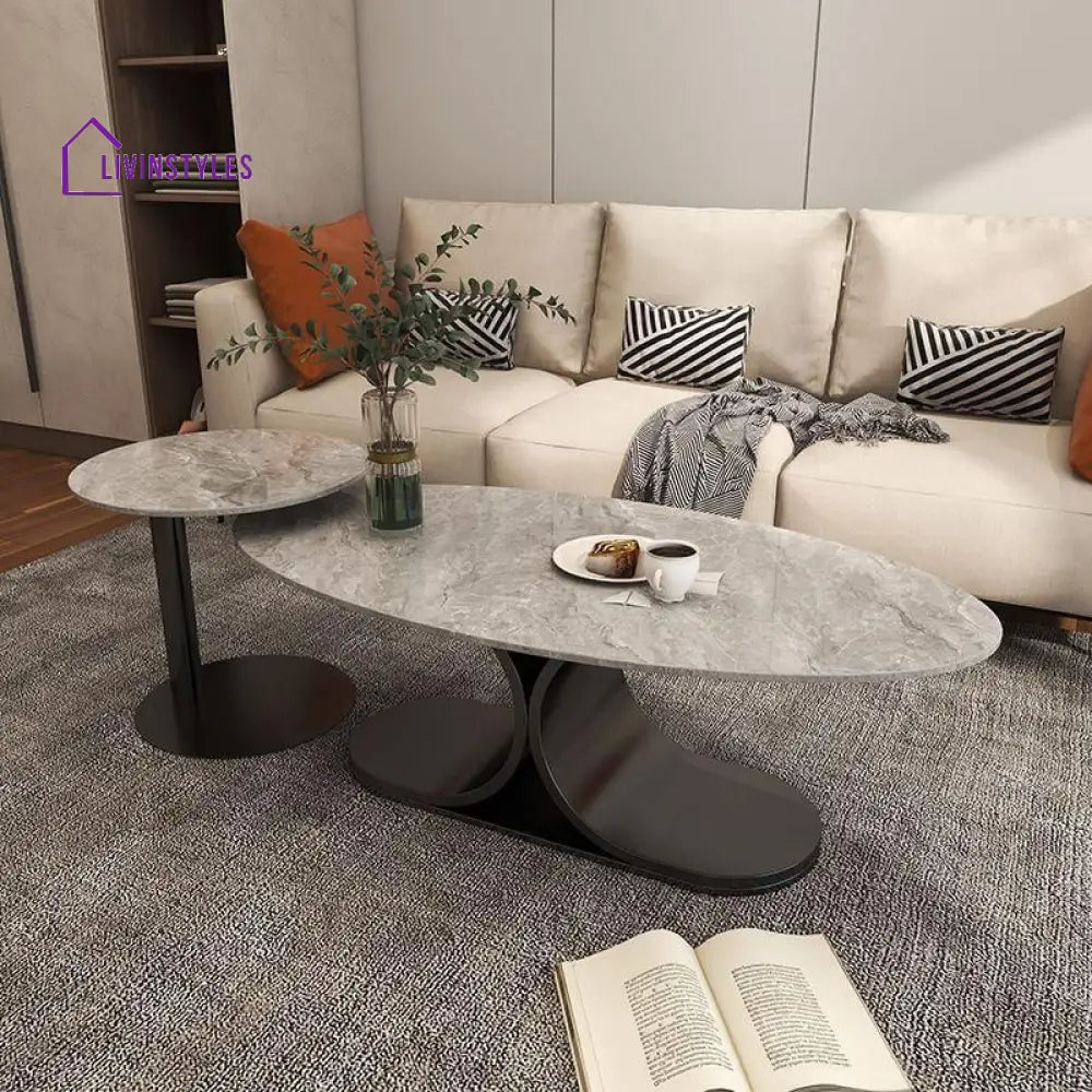 Ushini Stainless Steel Frame Coffee Table for Living Room