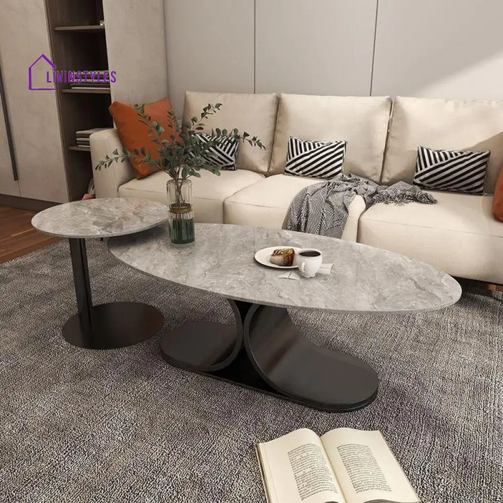 Ushini Stainless Steel Frame Coffee Table for Living Room