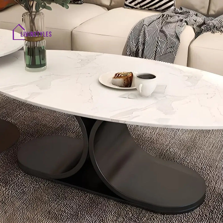 Ushini Stainless Steel Frame Coffee Table for Living Room