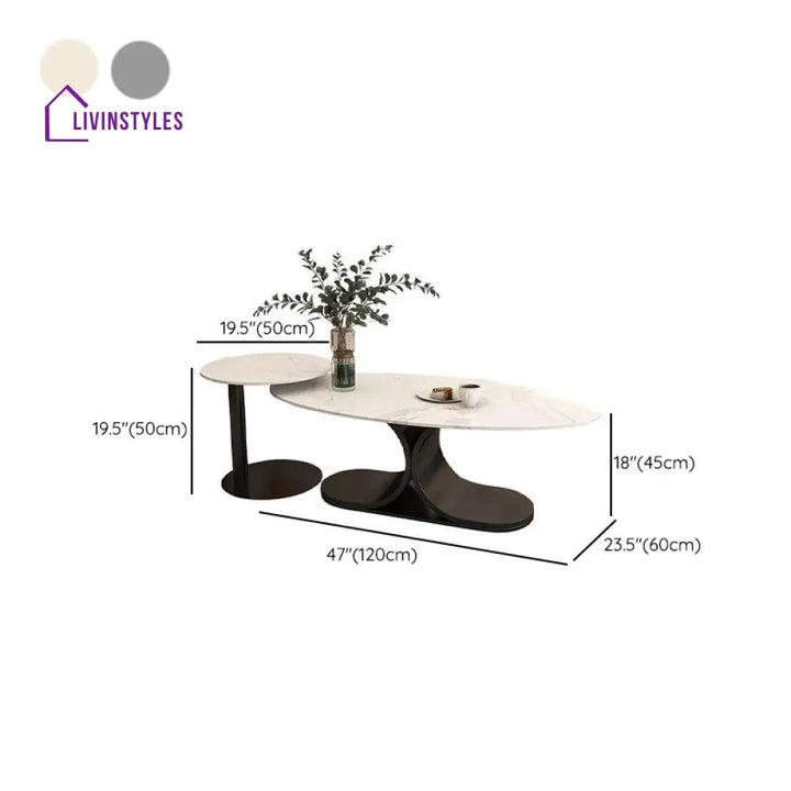 Ushini Stainless Steel Frame Coffee Table for Living Room